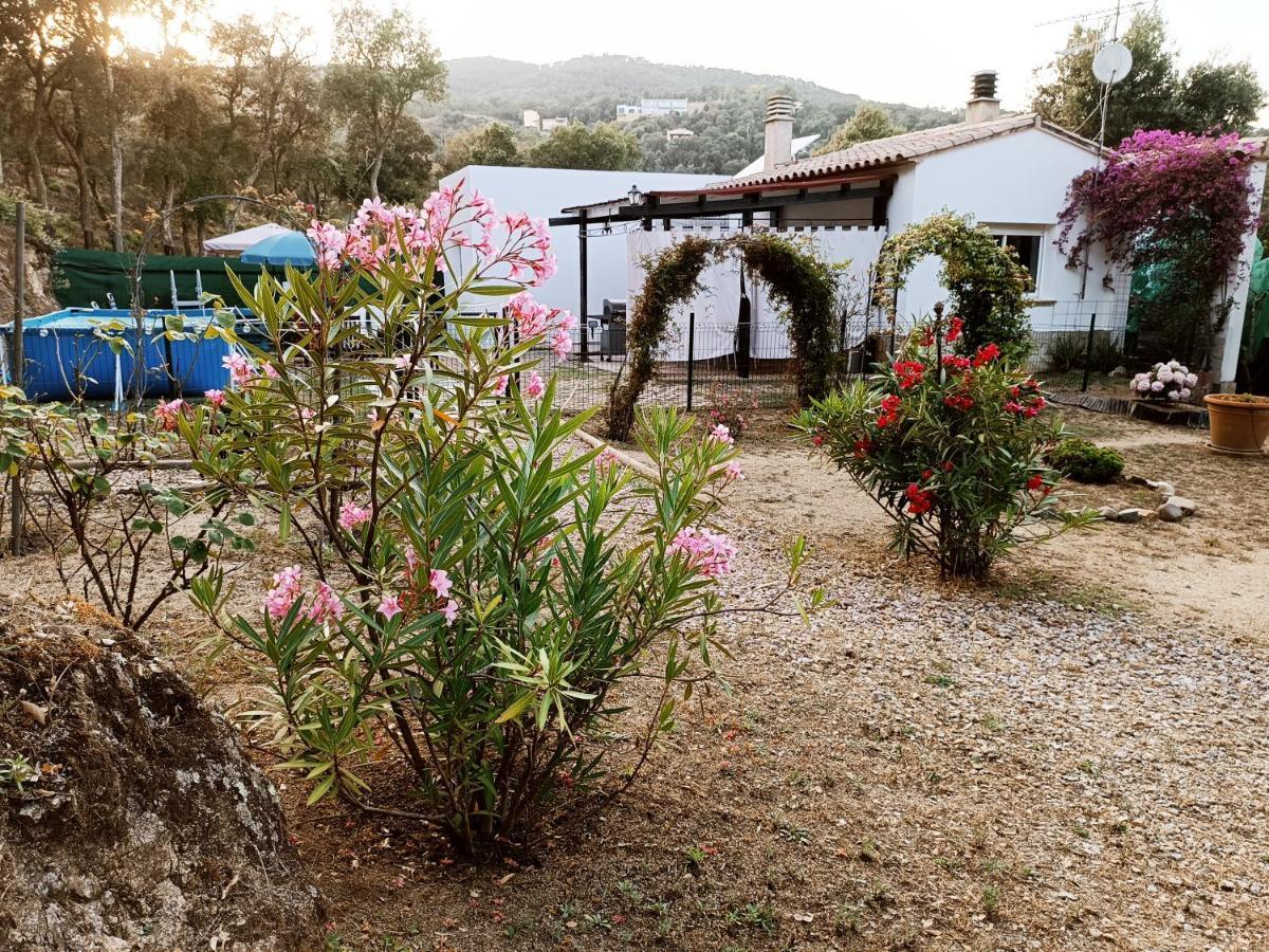 Chalet En Entorno Natural De La Costa Brava Bell-Lloc (Girona) Exterior foto